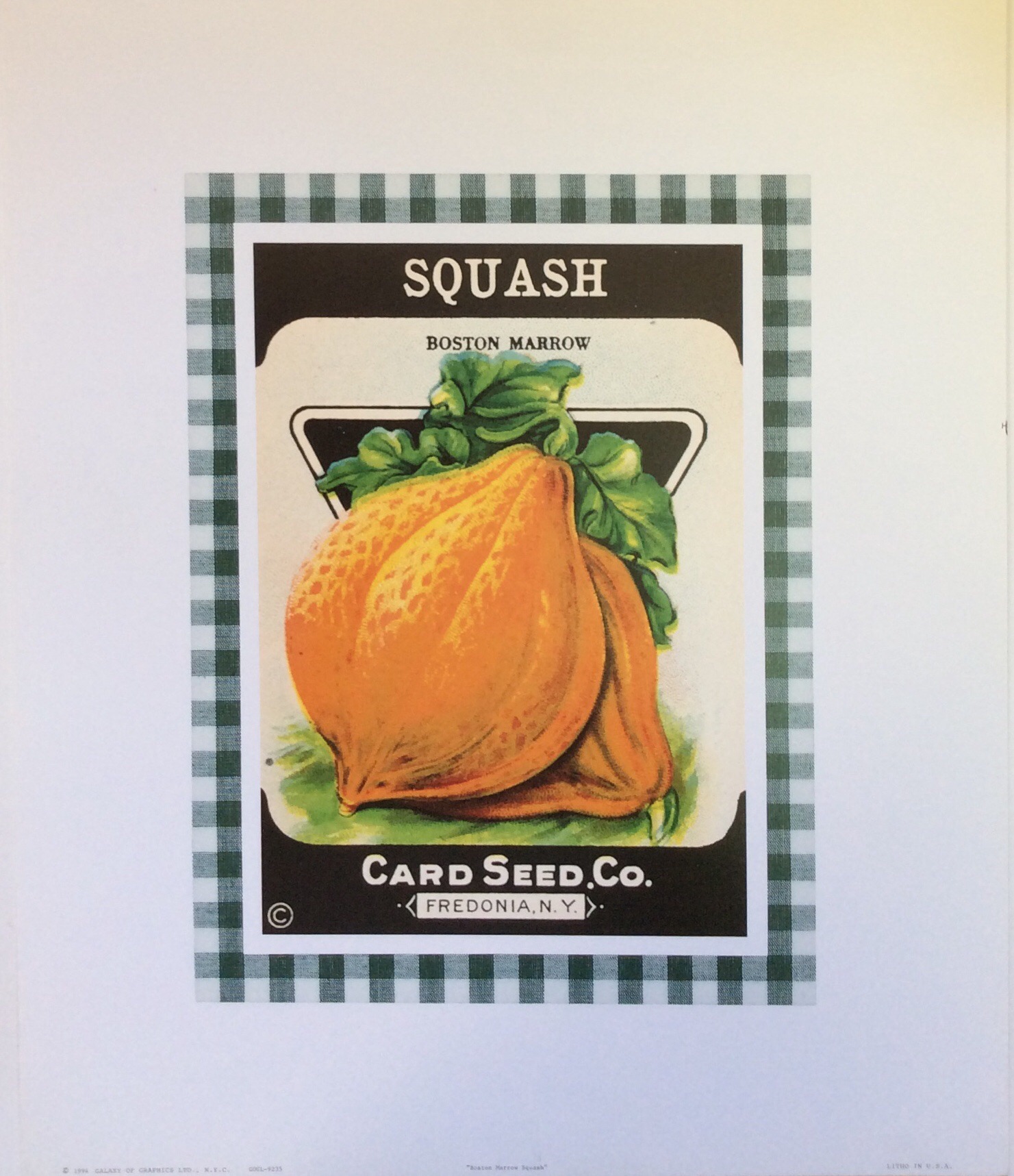 Lámina de Arte - Boson Marrow Squash (25.5x30.5 cm)