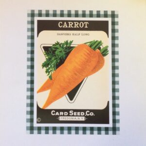Lámina de Arte - CARROT (25.5x35.5 cm)