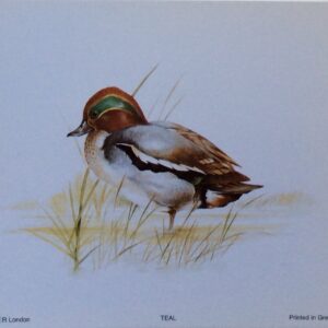 Lámina de Arte TEAK - Animales (12.5x10 cm)