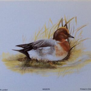 Lámina de Arte Wigeon - Animales (12.5x10 cm)