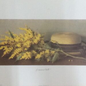 Lámina de Arte Floral - Franco Beth (50x35 cm)