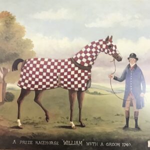 Lámina de Arte Animales - William (50x40 cm)