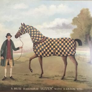 Lámina de Arte - Oliver (50x40 cm)