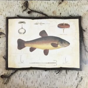 Woodland Stream - Sylvia Novak (50x40 cm)