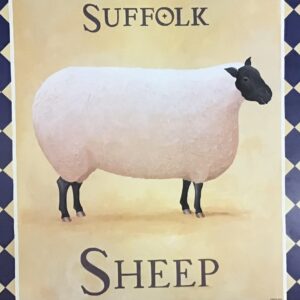 Lámina de Arte Suffolk Sheep - Litho (50x40 cm)