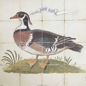 The Wood Duck - Laminas de Arte 50x40 cm