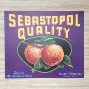 Sebastopol Quality - Arthur A. (5x40 cm)