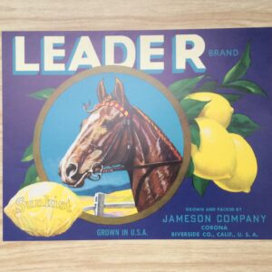 Lámina de Arte Leader Brand - Arthur A. (50x40 cm)