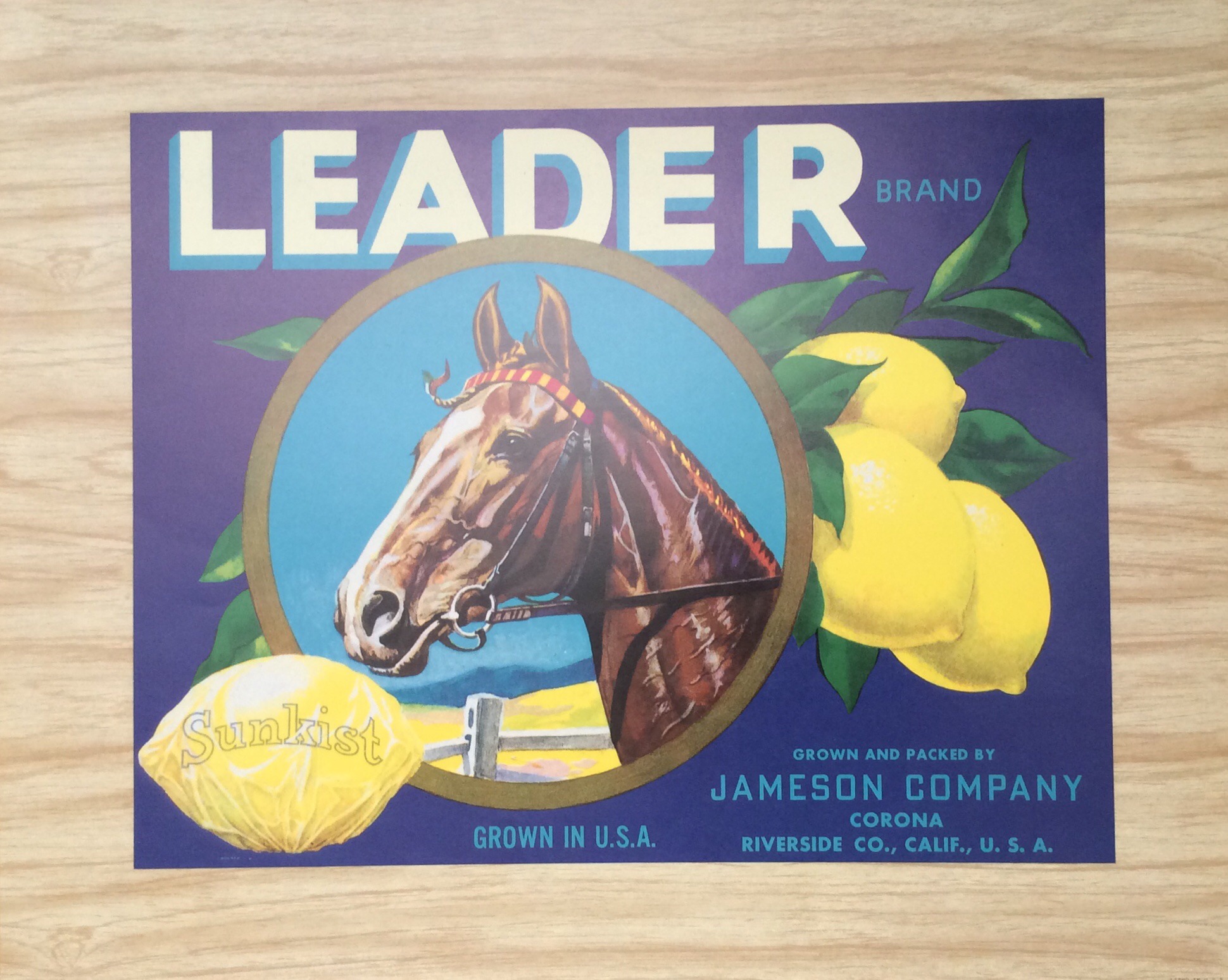 Lámina de Arte Leader Brand - Arthur A. (50x40 cm)