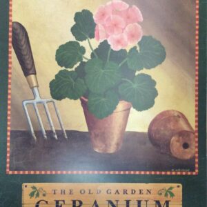 Lámina de Arte - The Old Garden Geranium (40x50 cm)