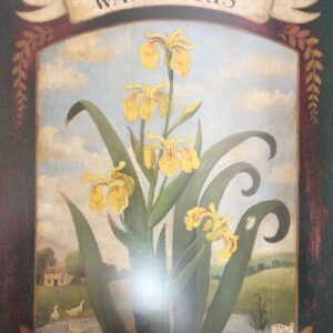 Lámina de Arte WATER IRIS - 40x50 cm