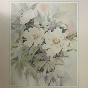 Lámina de Arte - Peony Blush (40x50 cm)