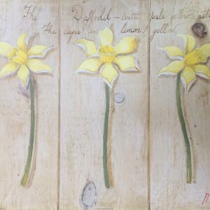 Lámina de Arte - The Daffodil (50x40 cm)