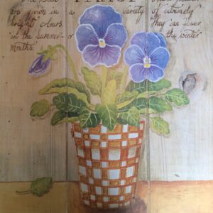 Lámina de Arte - THE BLUE PANSY (40x50 cm)
