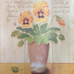 La Pansy - M. Gordon (40x50 cm)
