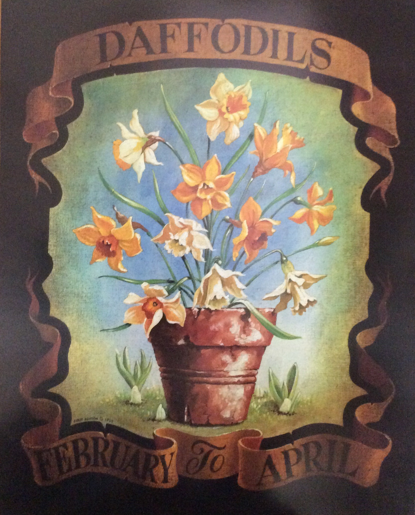 Lamina de Arte Floral - Desconocido (40x50 cm)