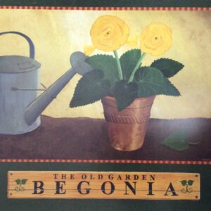 The Old Garden Begonia - Laminado Floral (50x40 cm)