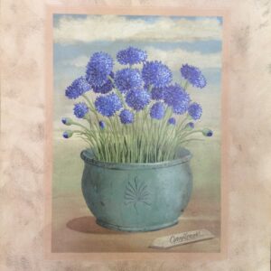 Lámina de Arte Garden Corflowers - M. Wiscombe (40x50 cm)