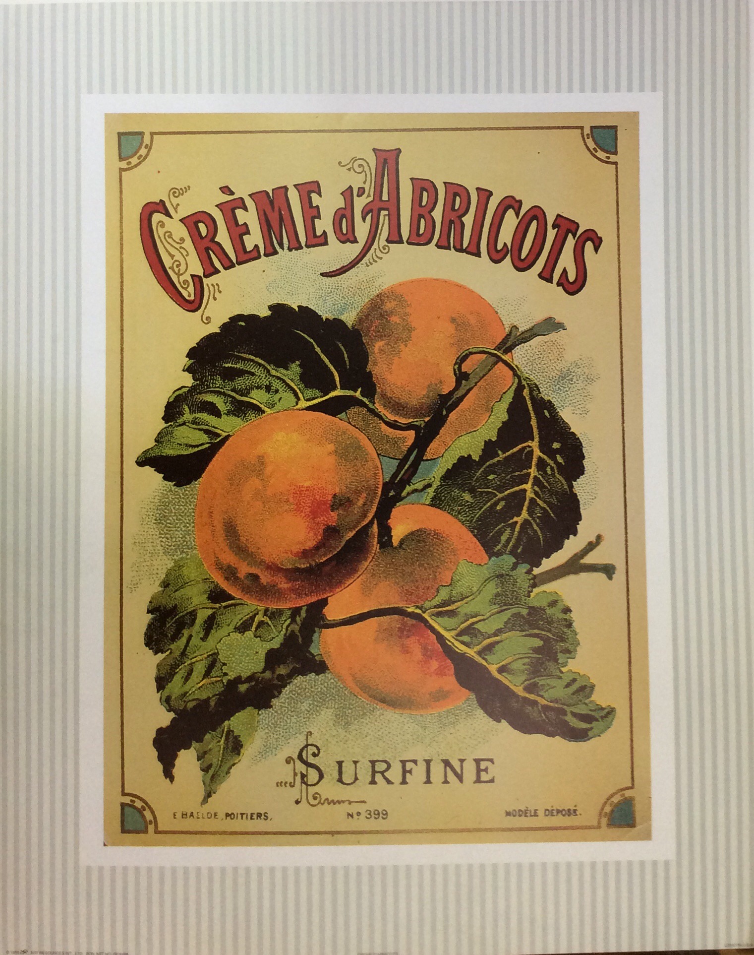 Lámina de Arte FRUTAS - Creme d’Abricots (40x50 cm)