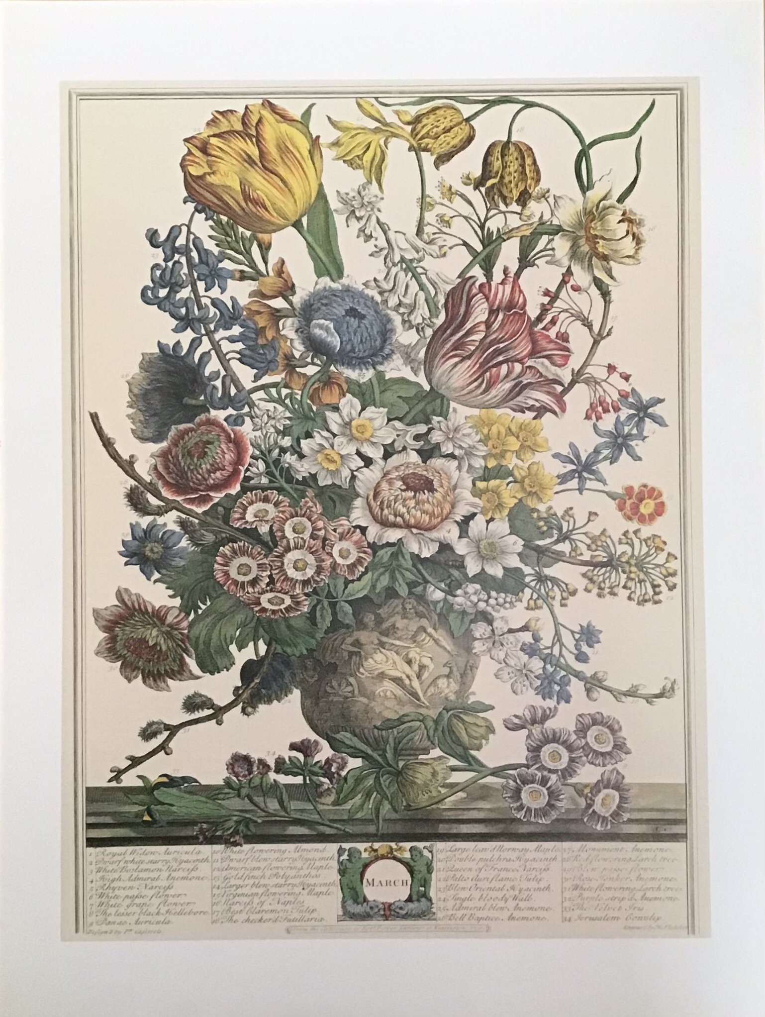 Lámina de Arte "MARCH" - Flores (40x50 cm)
