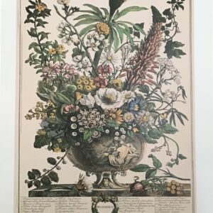 Lámina de Arte - December de Robert Furber (40x50cm)