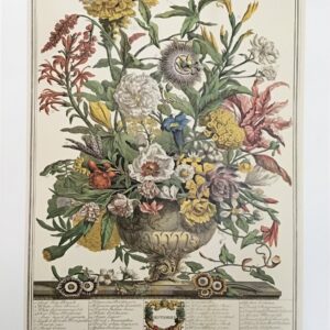 Lámina de Arte 'September' - Flores (40x50 cm)