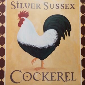 Lámina de Arte - Silver Sussex Cockerel (50x40 cm)