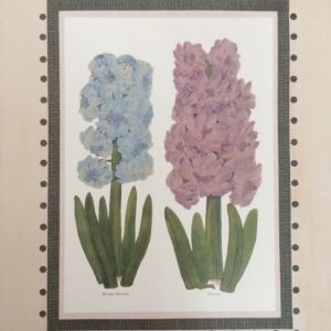 Laminar Botanicla Floral I - Flores (40x50 cm)