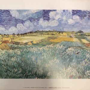 Pianura Vicino Ad Auvers - Vicente Van Gogh (30x24 cm)