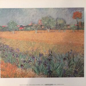 Vista Di Arles Con Irises - Van Gogh (30x24 cm)