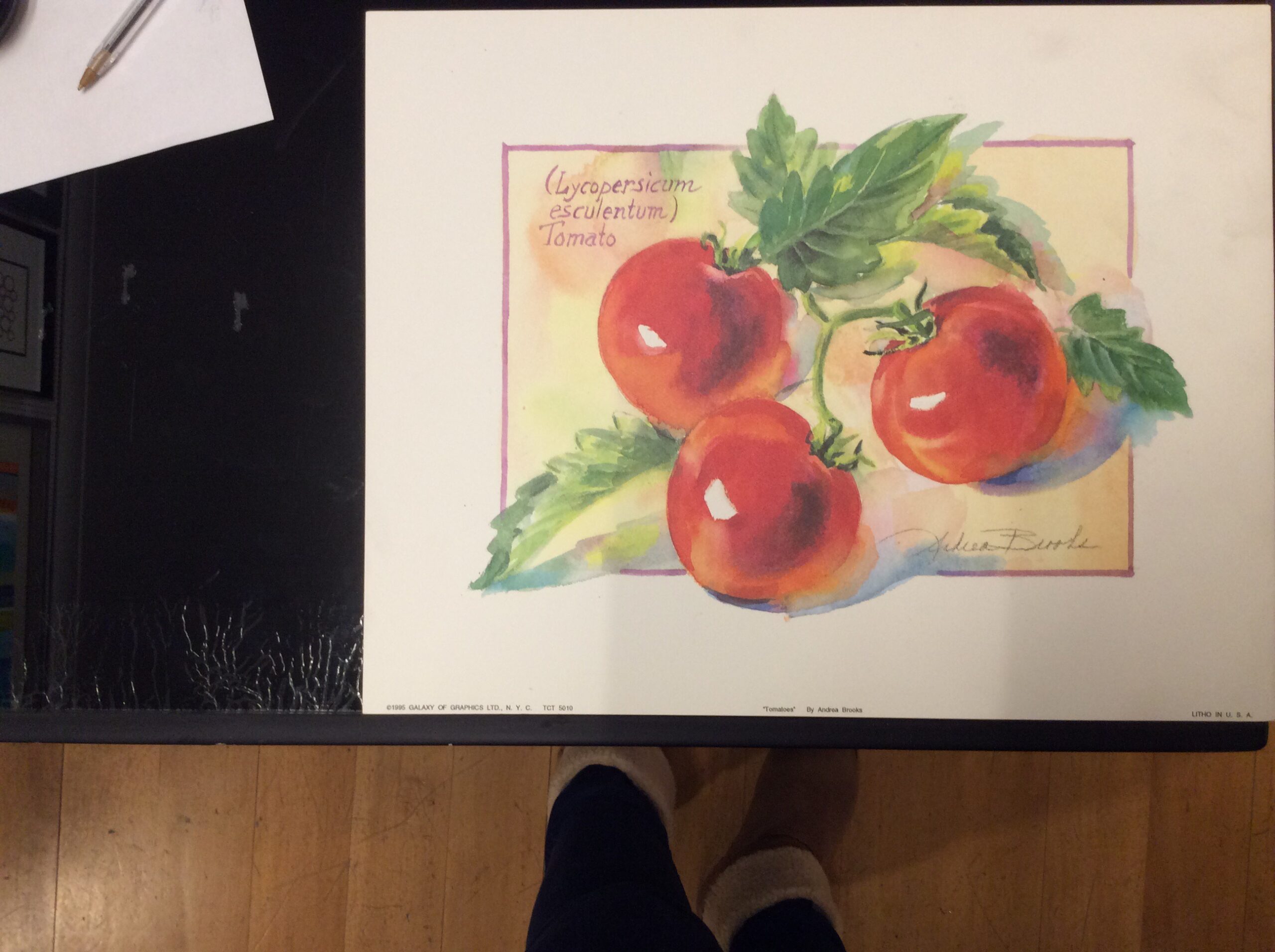 Lámina de Arte - Tomatoes de Andrea Brooks (28x35 cm)