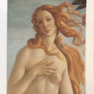 La Nascita Di Venere - Lámina Clásica (24x30 cm)