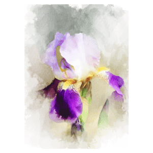 Colección de Autor - Díaz De La Plata Studio - Lirio 2