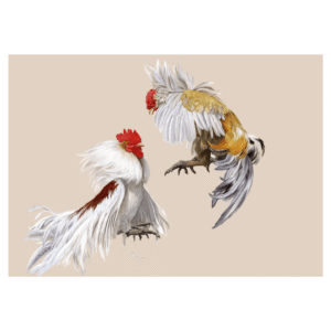 Colección de Autor - Díaz De La Plata Studio - Gallos De Pelea