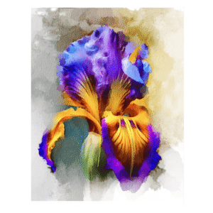 Colección de Autor - Díaz De La Plata Studio - Lirio 3