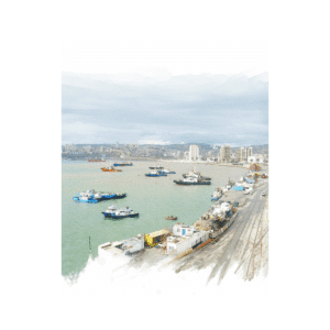 Colección de Autor - Díaz De La Plata Studio - Puerto Prat