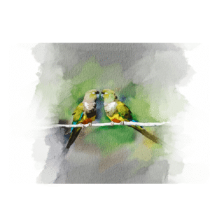 Colección de Autor - Díaz De La Plata Studio - Loro Pareja